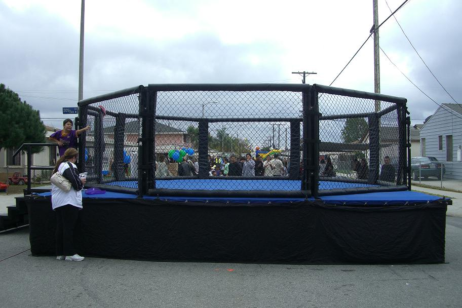 octagon